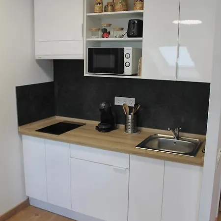 El Atico De La Estacion Apartment Oviédo